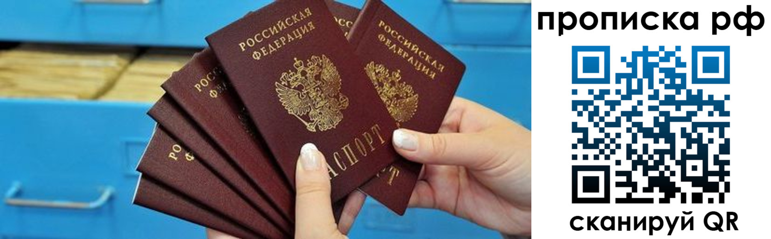 прописка поиск в Смоленске